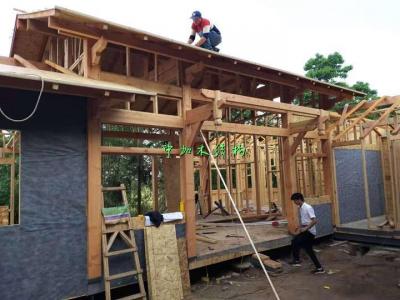 巴中平昌私家別墅